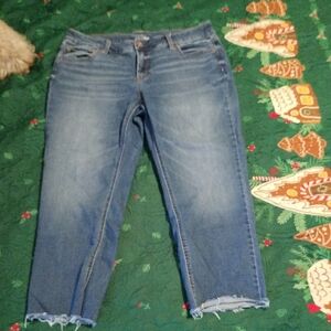 Time And True Size 18 Petite Straight Fit